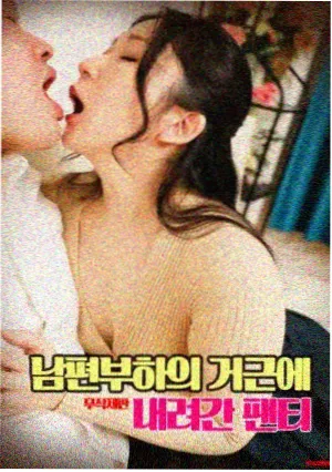 家园守护者动漫